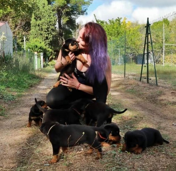 Éleveuse, mère & Chiots 