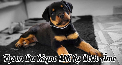 Tyson